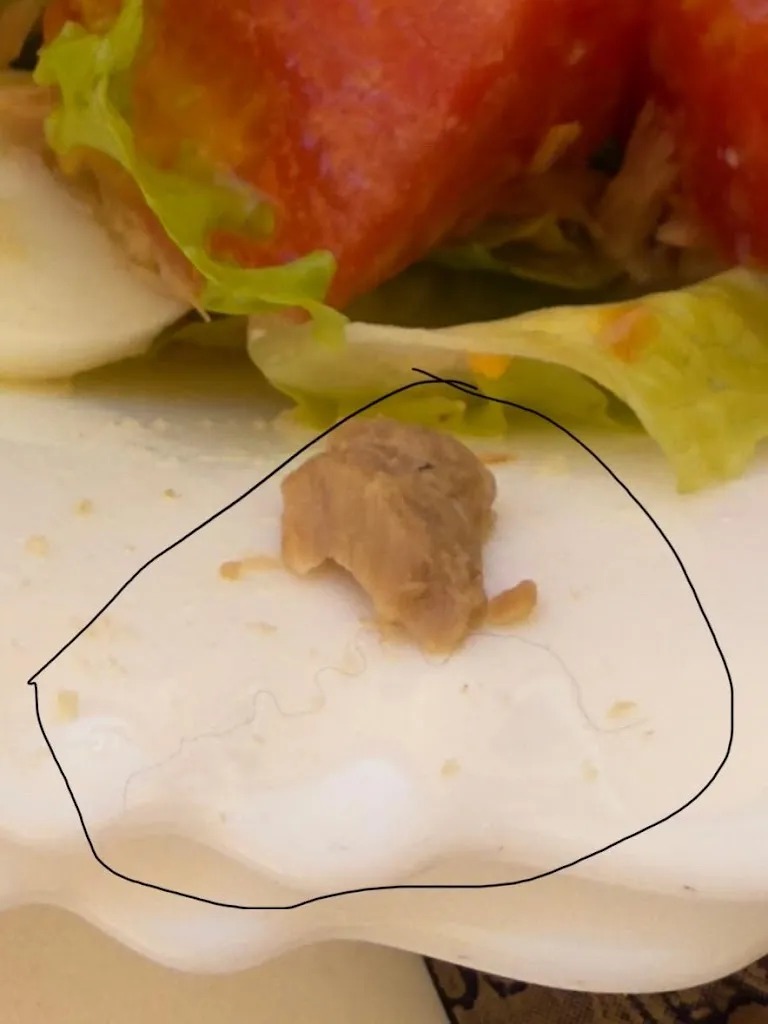 Andrei Andrei_Café Dalma_Castilfalé_review