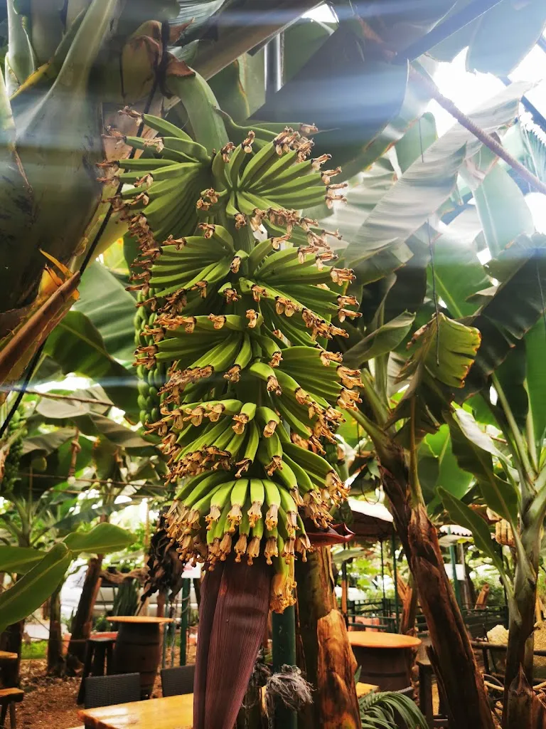 Juankar Carrillo_Río Kastro_Castrocalbón_review