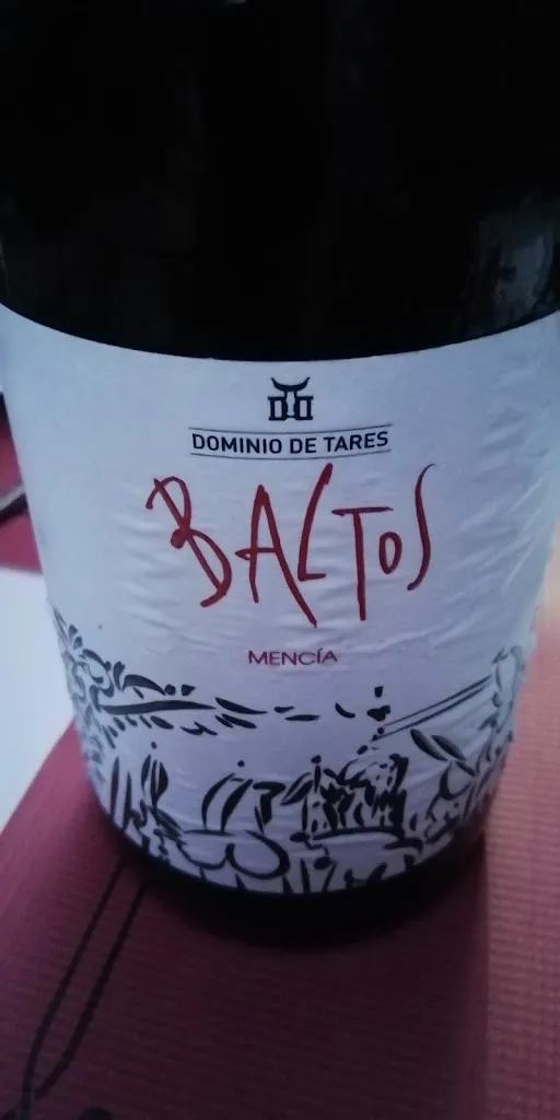 Antonio Alemany_El Refugio de Saul_Cacabelos_review