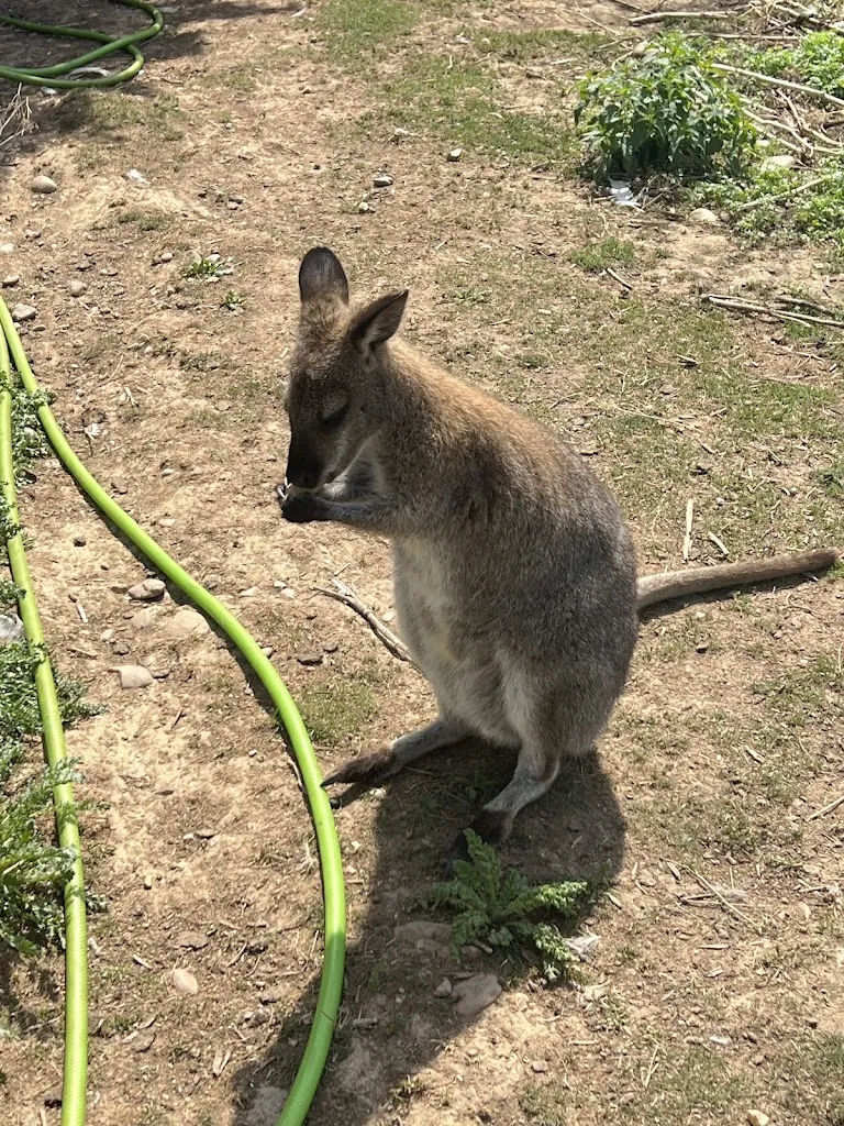 Eduard Bantula Gutierrez_Bar Los Caños_Cimanes de la Vega_review