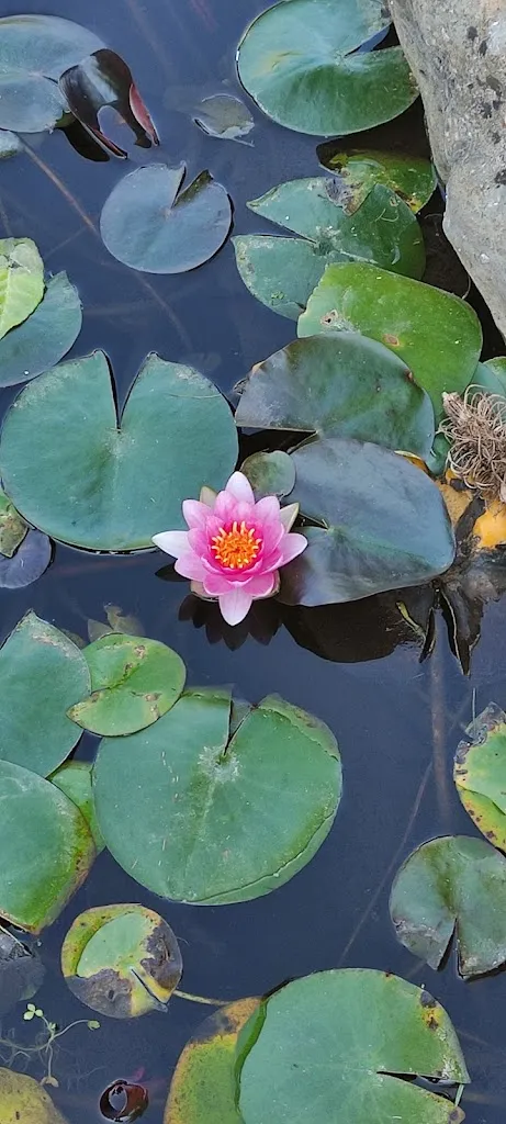 Carlos Gómez Valero_Hotel Rural Villa Mencia_Corullón_review