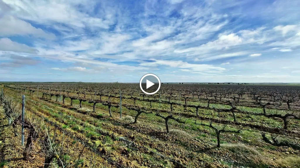 Bodegas Gordonzello_Gordoncillo_slider_image_2