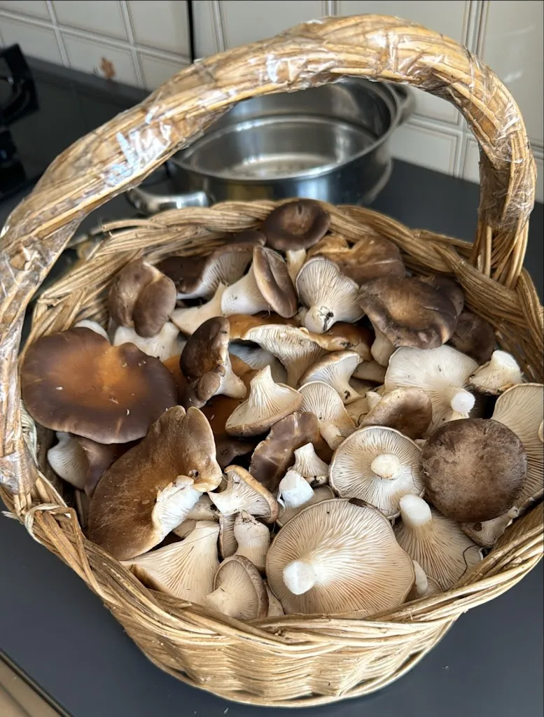 Menu_Bar Blanca C/Mayor_Izagre_image_1