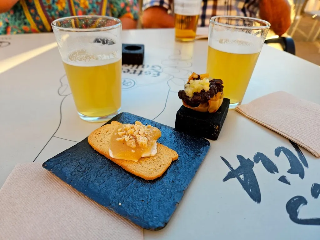 Elisabeta Dil Olar_Pub Don Manuel_Fuentes de Carbajal_review