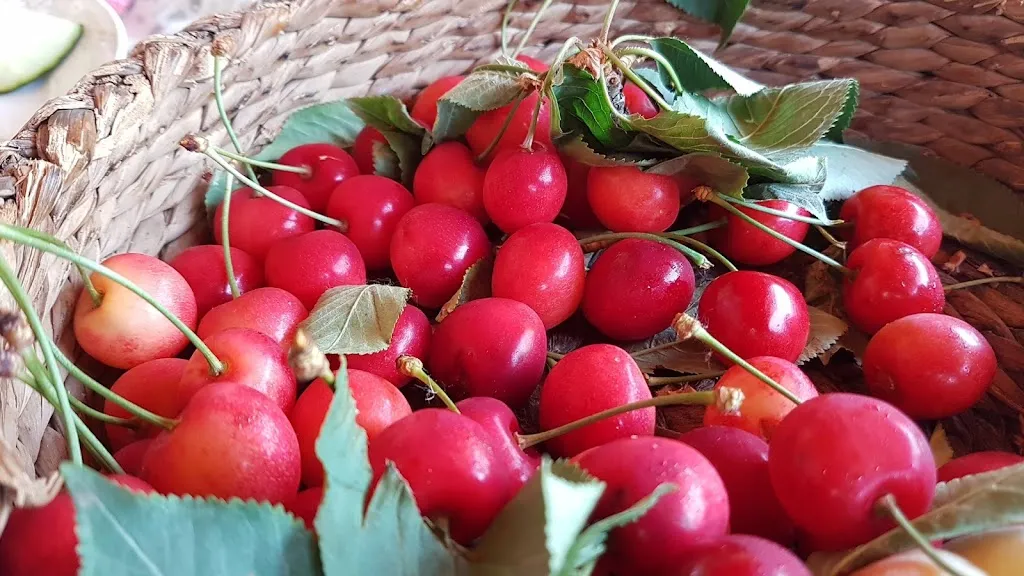 Menu_Albergue La Encina_Hospital de Órbigo_image_6