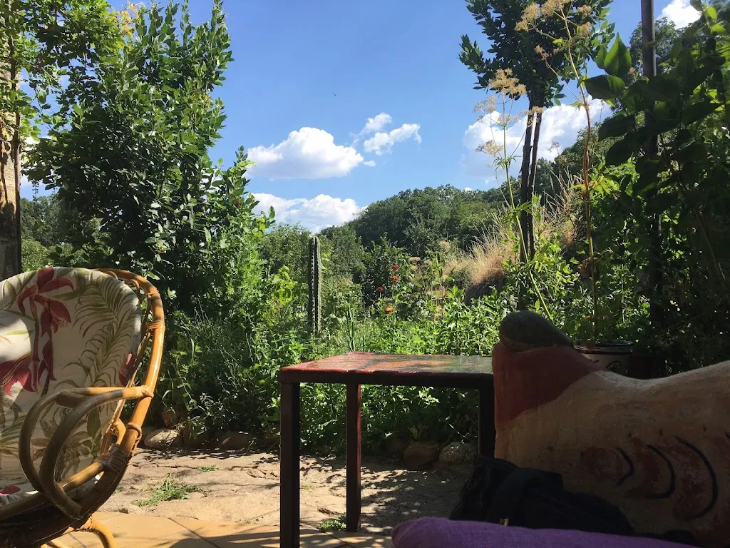 Roel van der Meulen_Tetería Singular_La Alberca_review