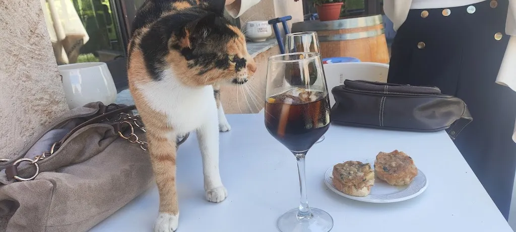 Marina Sibarita_Cenadores de la Cepeda_Magaz de Cepeda_review