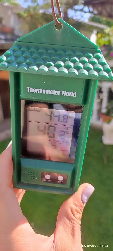 Lima Eduarda_Bar Julio_Magaz de Cepeda_Bewertung