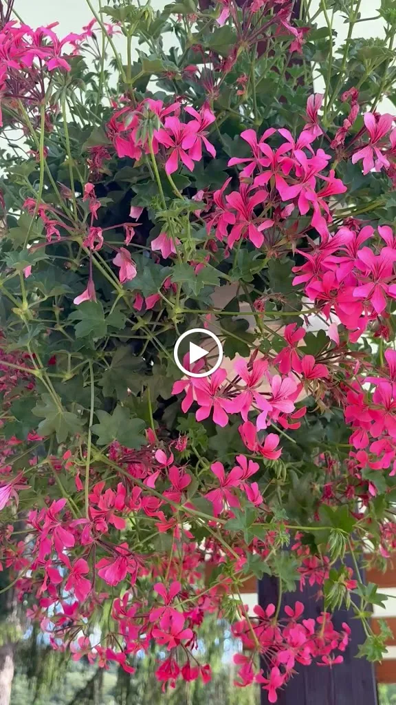 Mesón Real_Molinaseca_slider_image_2