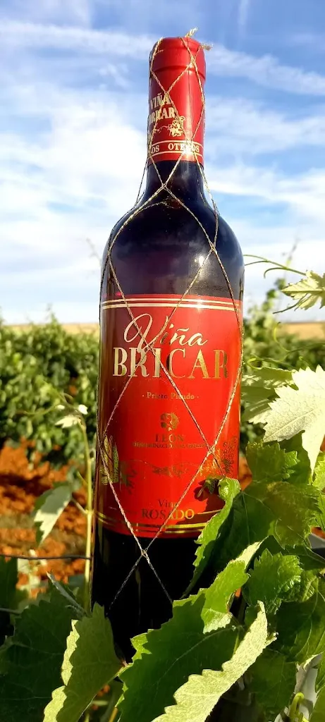 Bar Pajares_Pajares de los Oteros_slider_image_1