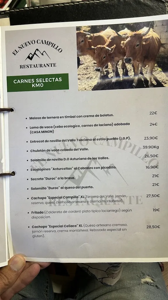 Menu_Restaurante El Campillo_Palacios del Sil_image_3