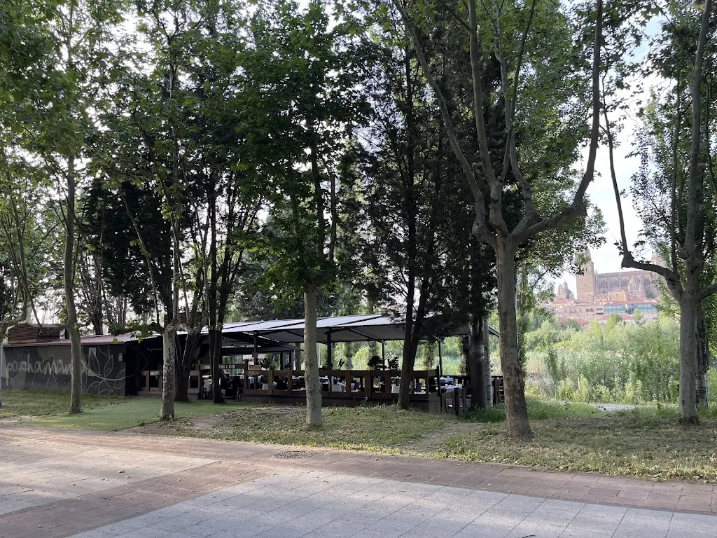 Ricardo Llovet_La Pachamama_Provincia de Salamanca_review