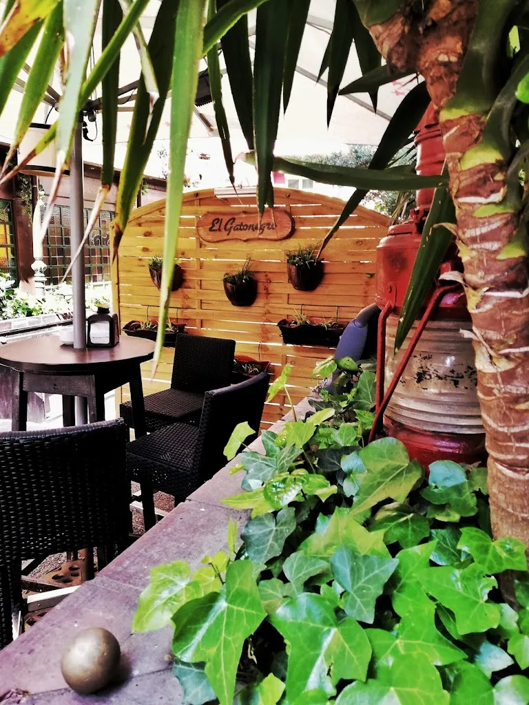 Menu_Black Cat Bar_Provincia de Palencia_image_8