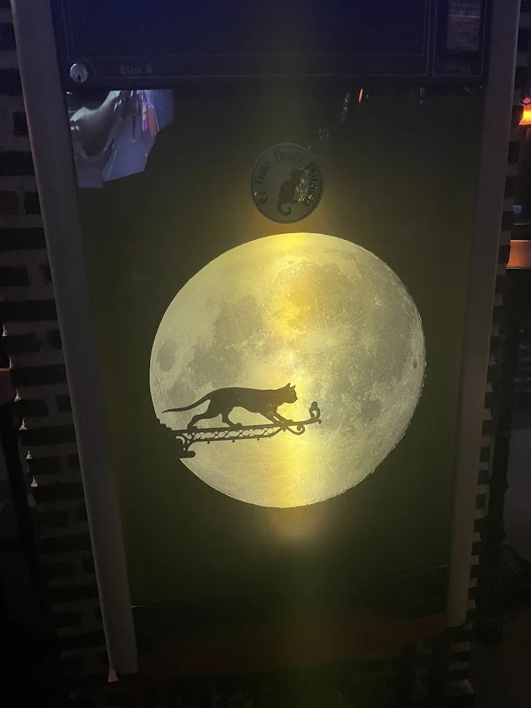 Maria Fernanda Araujo_Black Cat Bar_Provincia de Palencia_review