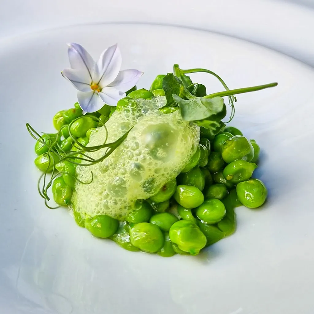 El Tilo de Vallecas_Provincia de Soria_slider_image_2