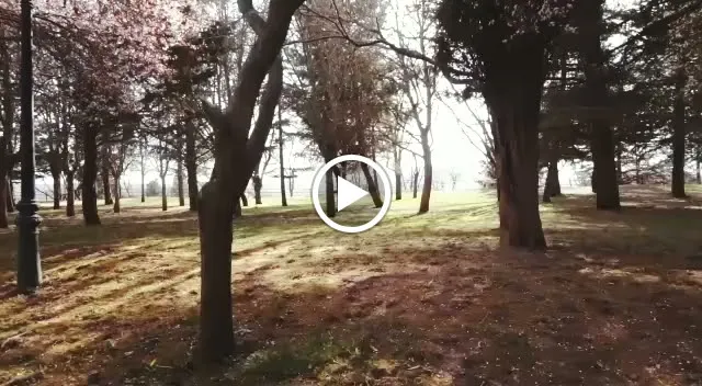 Parador de Soria restaurant in Provincia de Soria