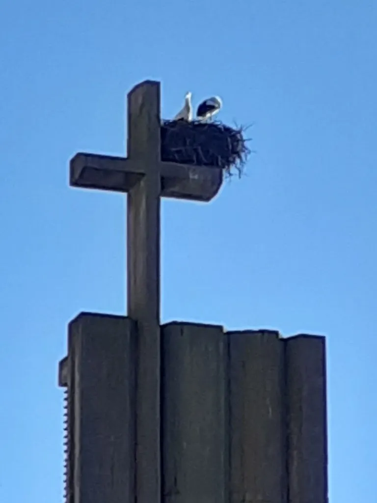 Rosemary Furber_Bar apolonia_Provincia de Soria_review