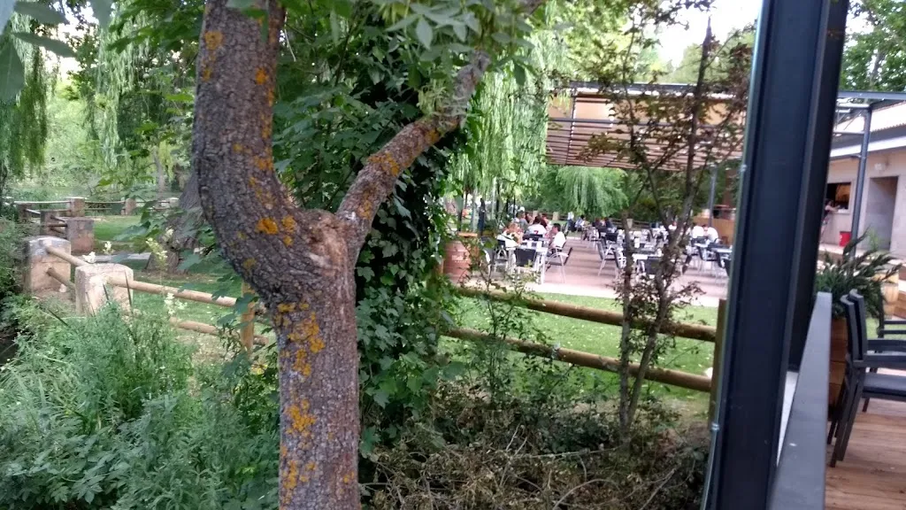 Susan Spain_Bar Soto Playa_Provincia de Soria_review