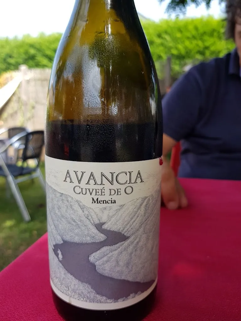 Menu_Meson La Colmena_Puente de Domingo Flórez_image_8