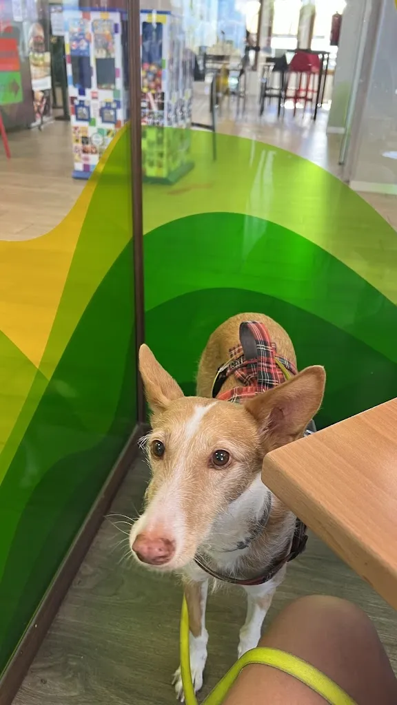 Lidia Martín_Parada Desde Leon_Rioseco de Tapia_recensione