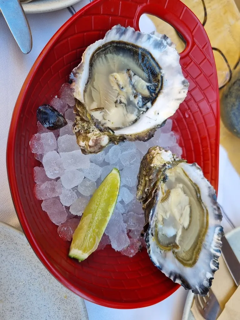 Menu_Taberna Pico Fino_Provincia de Valladolid_immagine_4