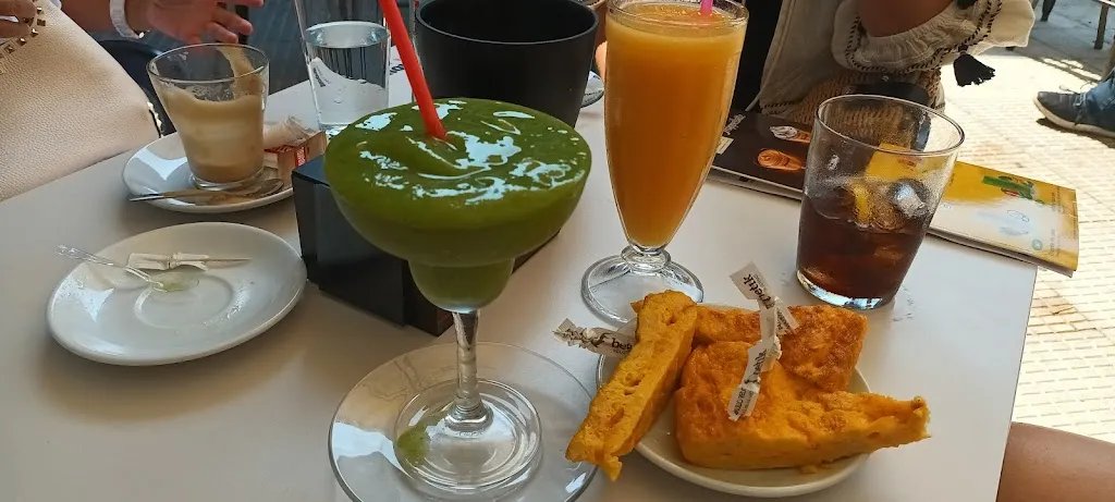 Ana Damm_Museo Jungle_Ponferrada_review