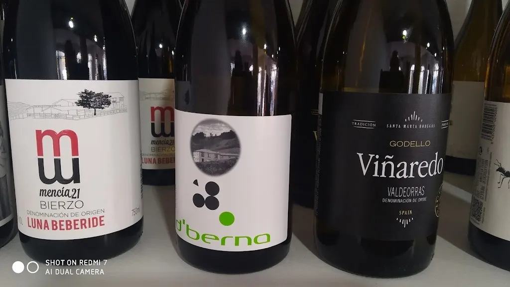 Menu_NO TE PEINES QUE NO TE VIENES_Ponferrada_image_6