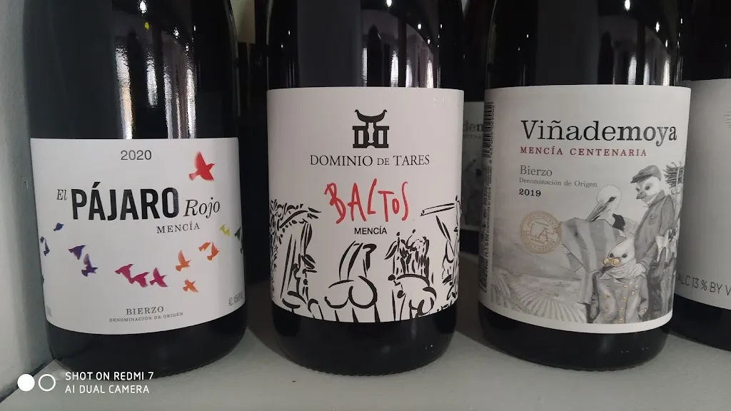 Menu_NO TE PEINES QUE NO TE VIENES_Ponferrada_image_8