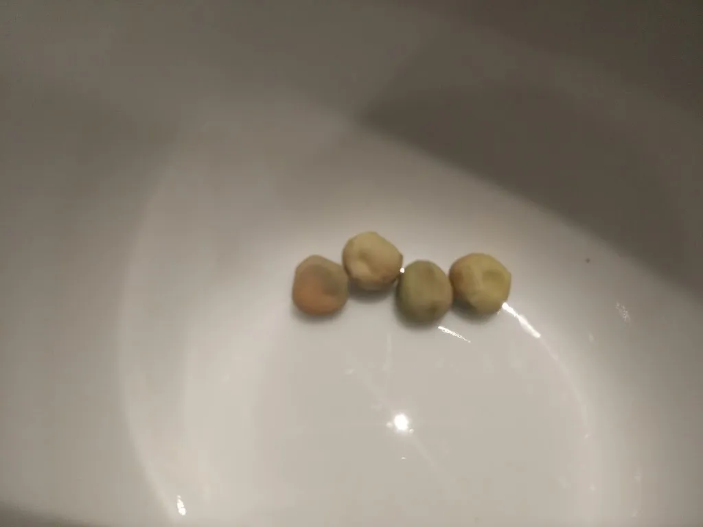 Menu_Mesón Riaño_San Andrés del Rabanedo_image_5