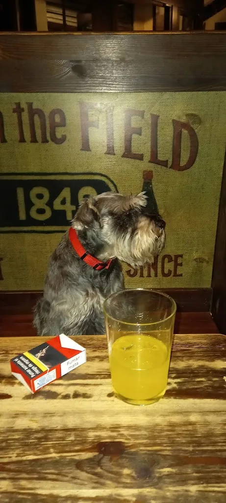 Menu_Bar Cervecería Babu Afrika_San Andrés del Rabanedo_image_5