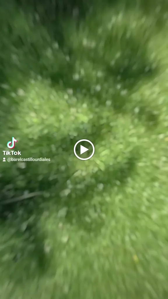 Bar Castillo_Urdiales del Páramo_slider_image_2