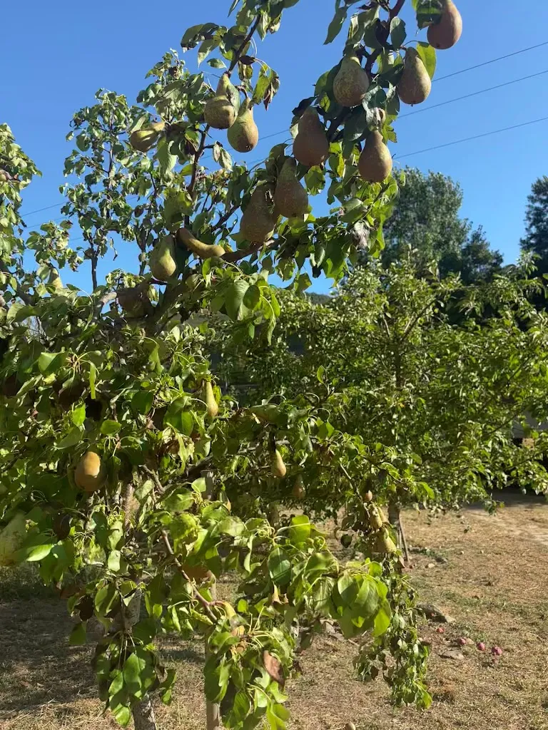 Kieran Ji_Albergue Casa Susi_Trabadelo_review