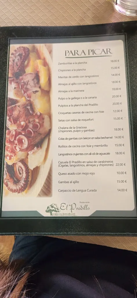 Menu_Restaurante El Pradillo_Valdefresno_image_2