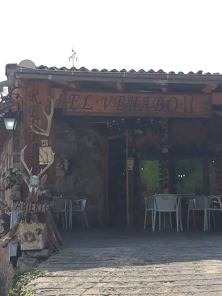 Carlos Gonalc_El Venado_Valdepiélago_review