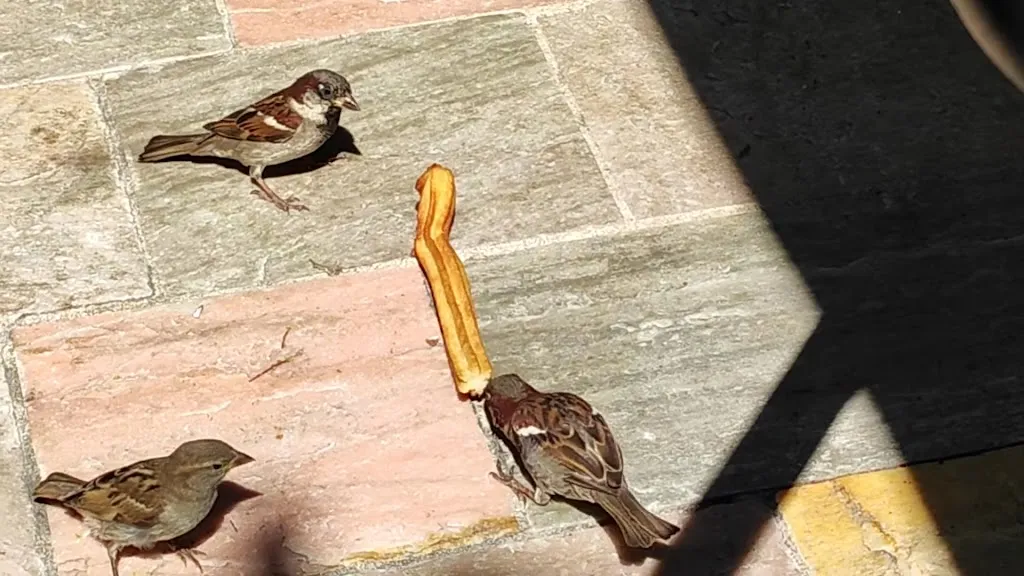 Restaurante Valcarce_Vega de Valcarce_slider_image_2