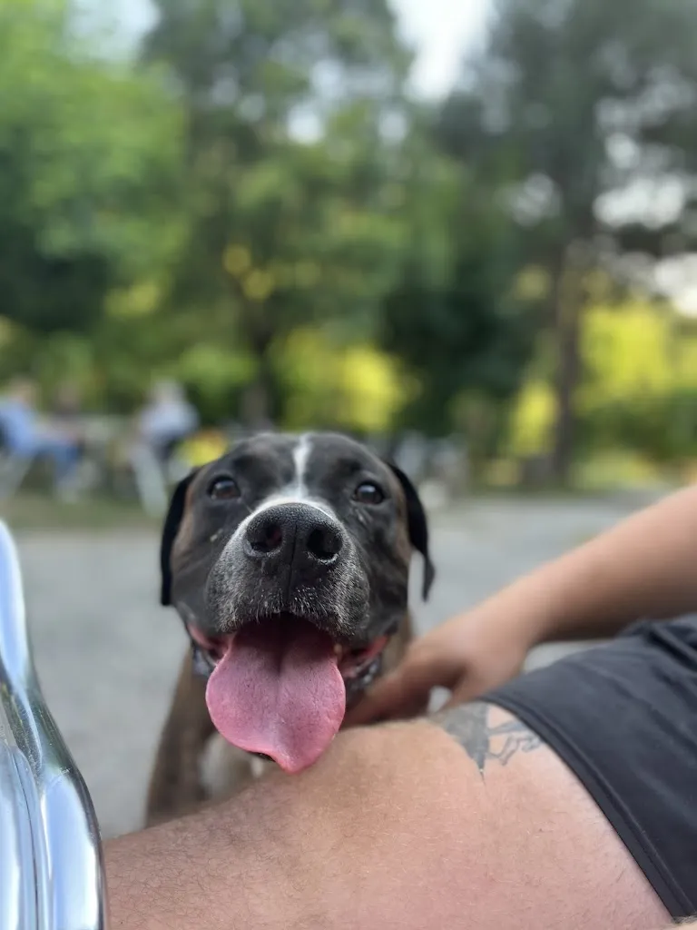 Pauline Lundekvam_Bar Veis Restaurante_Vega de Valcarce_review