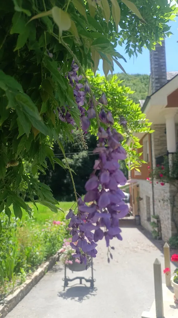 Panadería Cerezales_Vega de Valcarce_slider_image_2