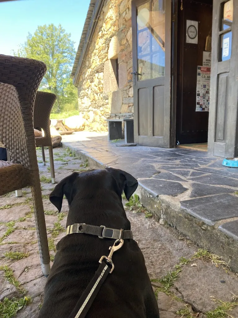 David Vieira_Restaurante El Molino_Vega de Espinareda_review