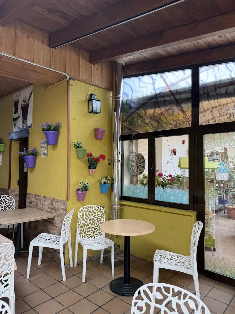 Pablo Rodriguez_Gastrobar Los Mesones_Vegas del Condado_review