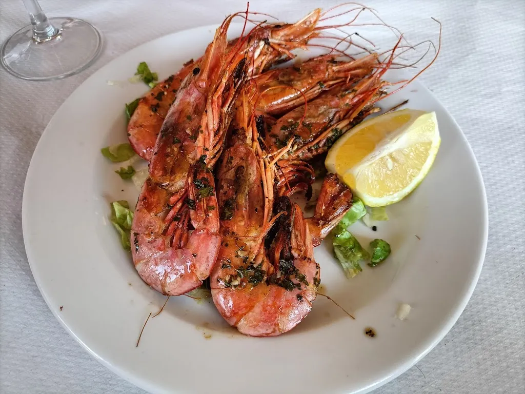 José Cañedo_Luna nueva_Vegas del Condado_review