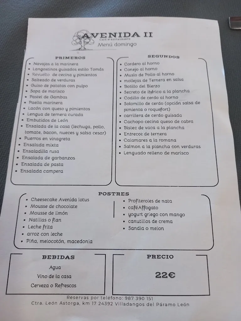 Menu_Hostal, Restaurante y Cafetería - Avenida II_Villadangos del Páramo_immagine_3