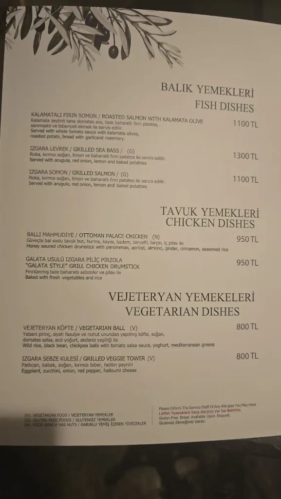 Menu_Olive_Turcia_image_1