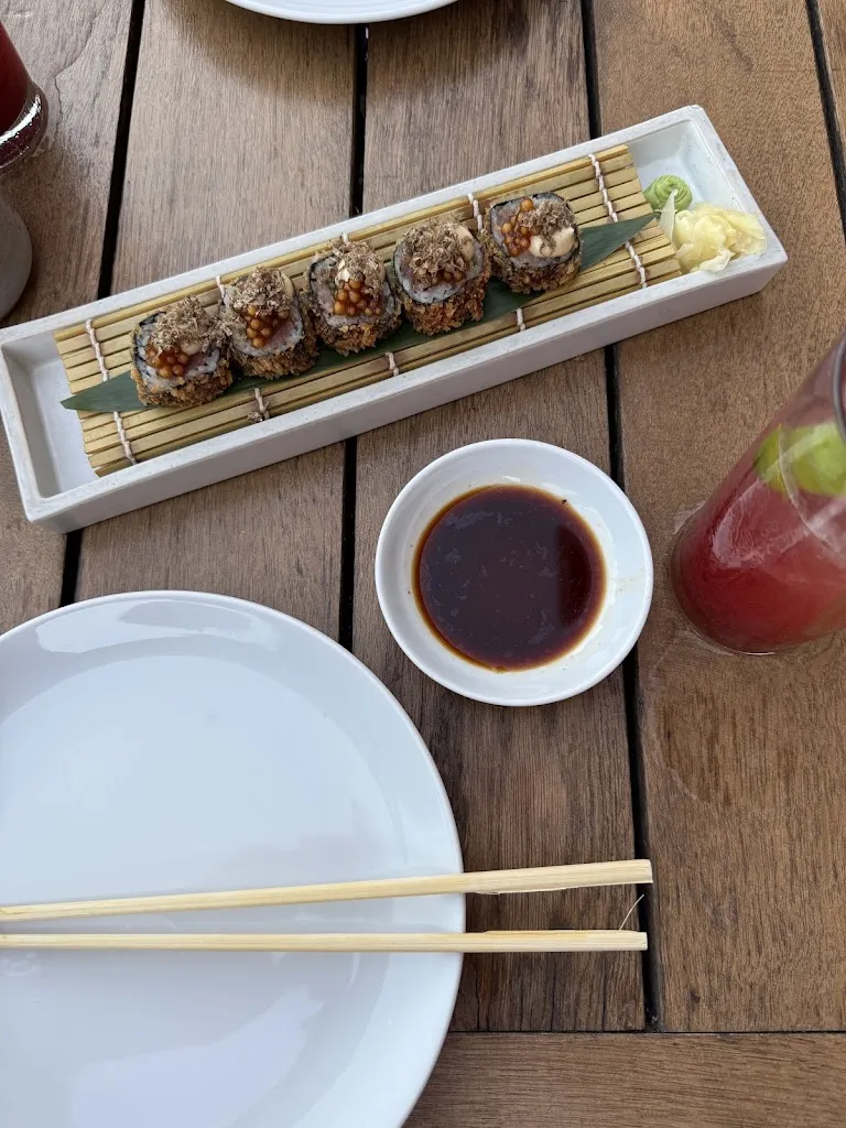 Hazem_Roka_Turcia_review