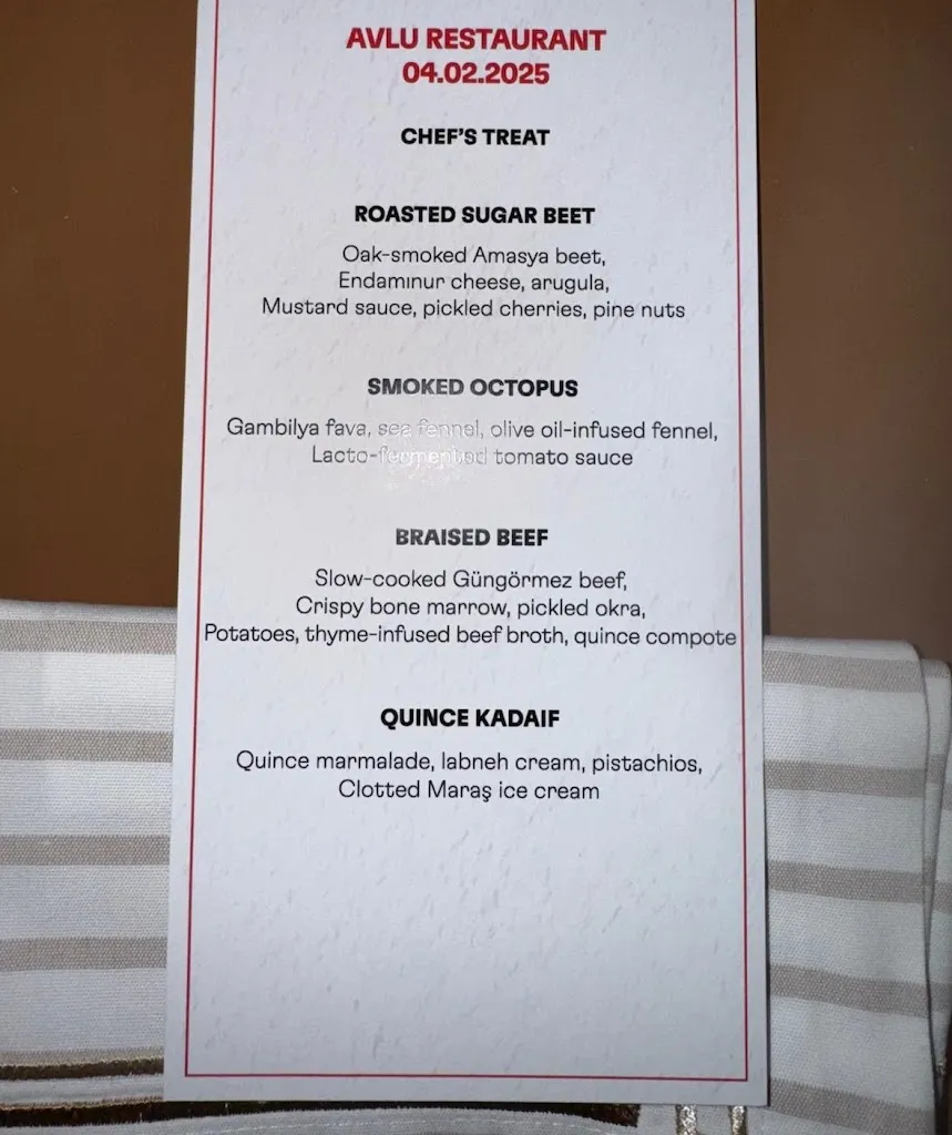 Menu_Avlu Restaurant_Turcia_image_4