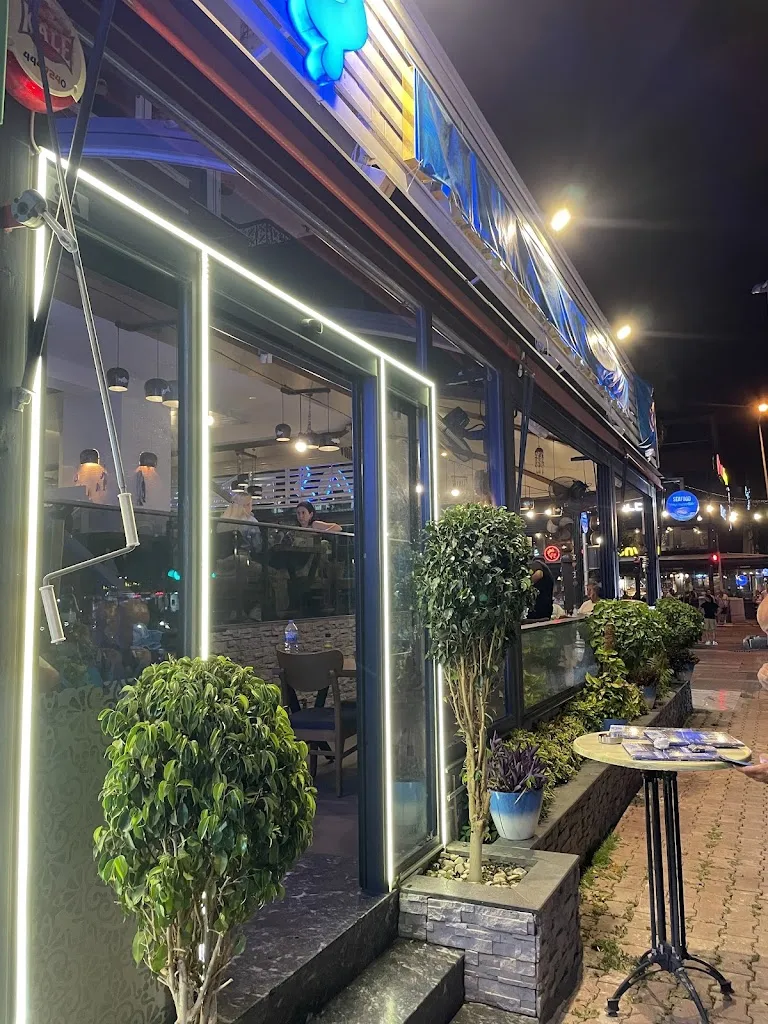 SALAŞ BALIK & RESTORANT_Turcia_slider_image_3