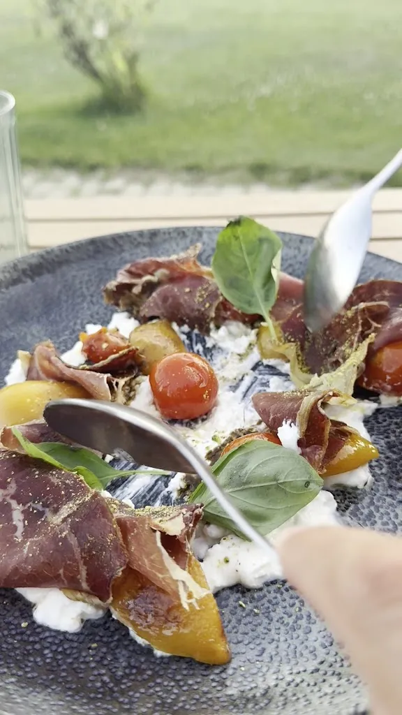 Juanma Cover Guitar_Bodegas VITALIS_Villamañán_review