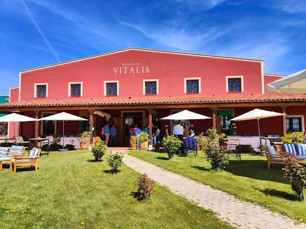 Bodegas VITALIS restaurant in Villamañán