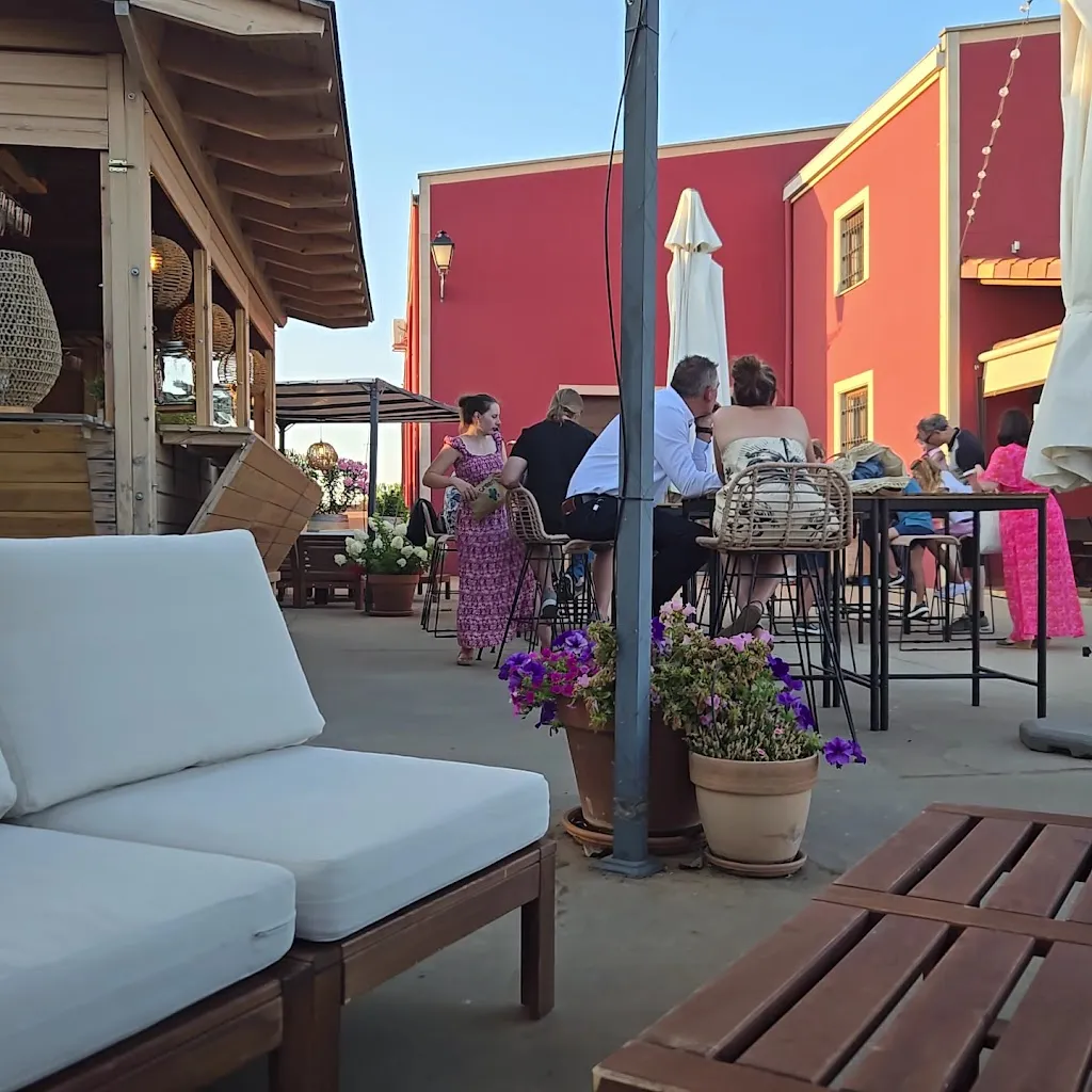 Bodegas VITALIS_Villamañán_slider_image_2