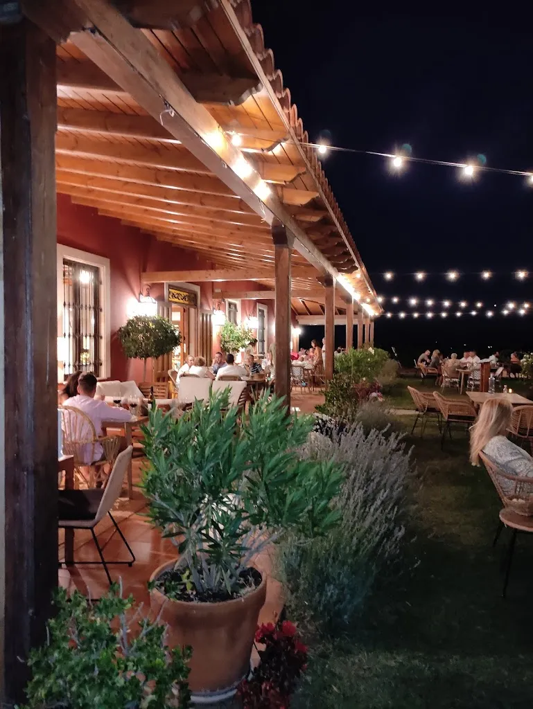 Bodegas VITALIS_Villamañán_slider_image_3