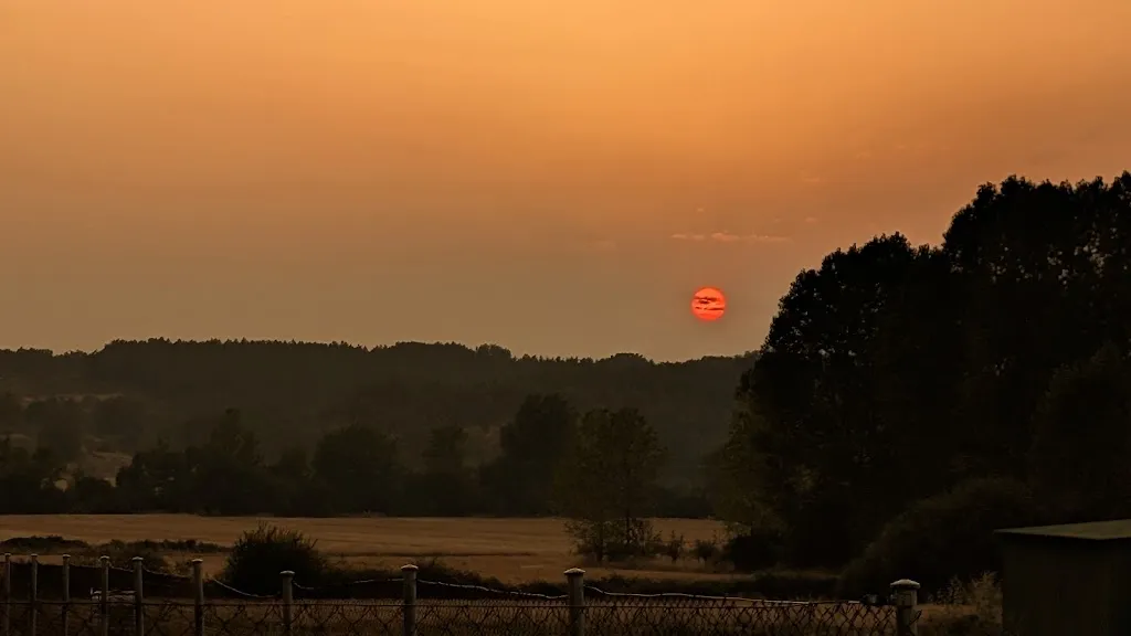 Bar Flores_Villazanzo de Valderaduey_slider_image_3